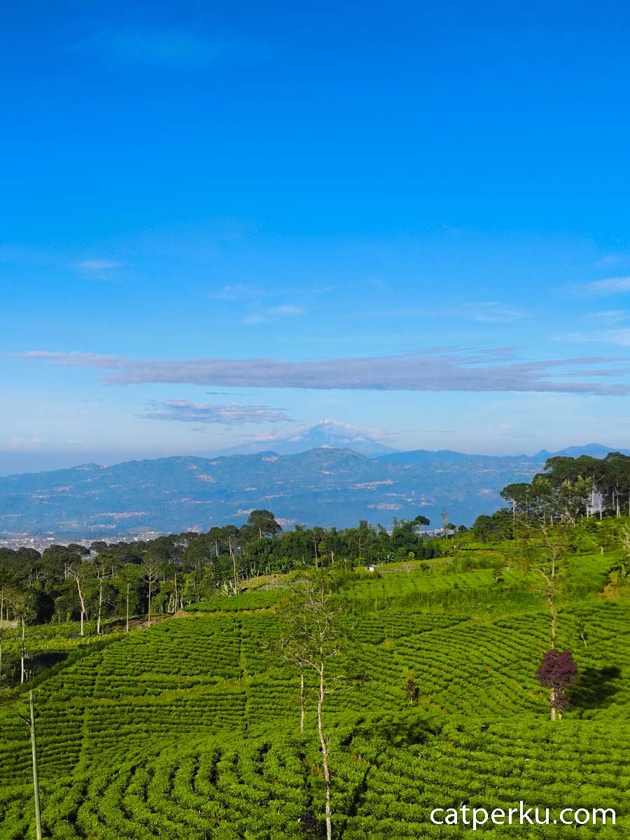 Pemandangan Indah dari Sikembang Glamping